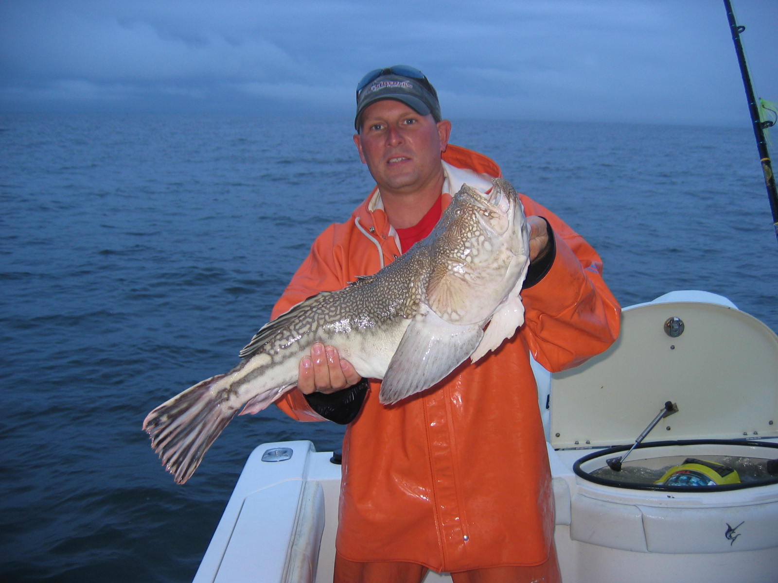 Captain Anthony Stargazer